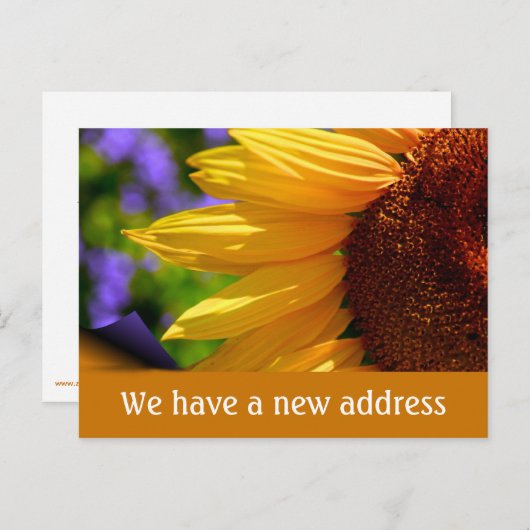 私たちはヒマワリの新しいアドレスで移動した 案内ポストカード (正面/裏面)