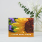 私たちはヒマワリの新しいアドレスで移動した 案内ポストカード (スタンド正面)