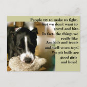 私たちはファイターハガキではない ポストカード (正面)