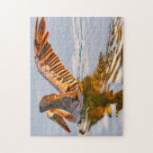 私たちはフロリダ州のブラウン・ペリカンを愛している ジグソーパズル (縦)