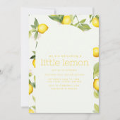 私たちはレモンを少し頂戴している 招待状 (正面)