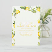 私たちはレモンを少し頂戴している 招待状 (スタンド正面)