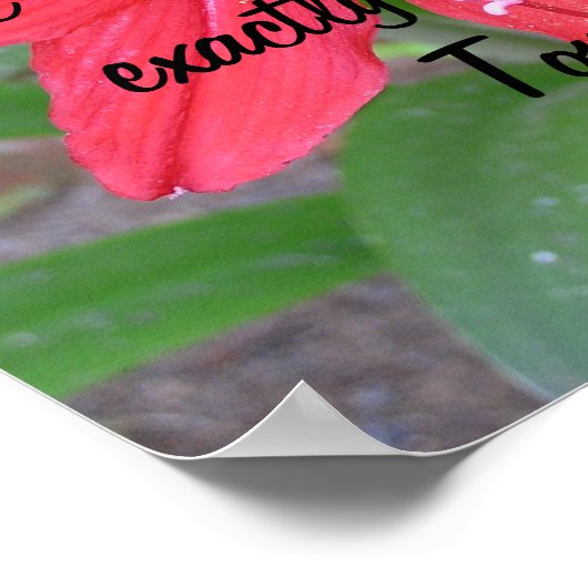 私たちは人生を変えることができる。 ポスター (角)