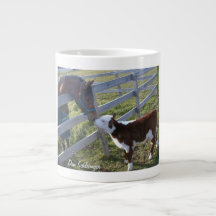 私たちは友達になれない