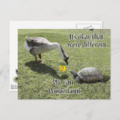 私たちは大丈夫だ違うよ、私たちは解決できる ポストカード (正面/裏面)