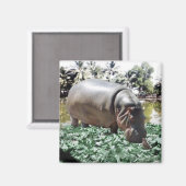 私たちは大丈夫だ違うよ、私たちは解決できる マグネット (正面/裏面)