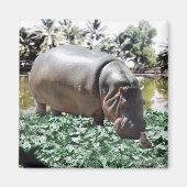 私たちは大丈夫だ違うよ、私たちは解決できる マグネット (正面)