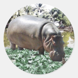 私たちは大丈夫だ違うよ、私たちは解決できる ラウンドシール