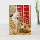 私たちは奇妙なペアを… シーズンカード (正面)