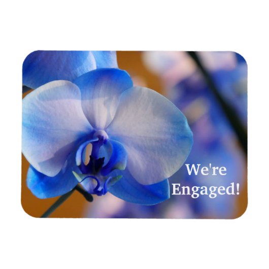 私たちは婚約した!可撓性磁石 マグネット (横)