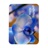 私たちは婚約した!可撓性磁石 マグネット (縦)