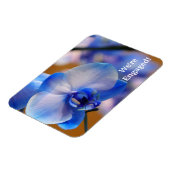 私たちは婚約した!可撓性磁石 マグネット (左側)