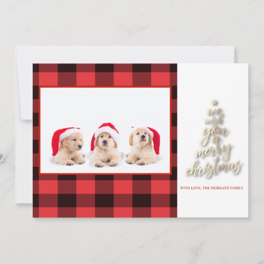 私たちは楽しいクリスマスバッファローのプレイド写真を望む (正面)