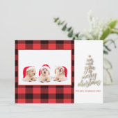 私たちは楽しいクリスマスバッファローのプレイド写真を望む (スタンド正面)