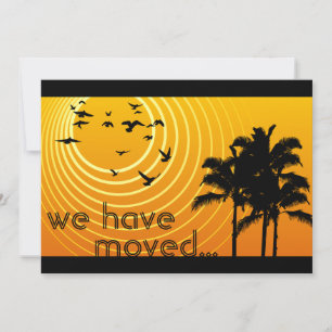 私たちは発表を動かした: sunscene 案内状