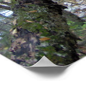 私たちは皆、ポスターを負担する私たちのMOSSを持っている ポスター (角)