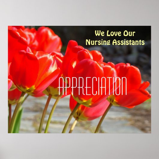 私たちは看護助手のポスター鑑賞が大好き ポスター (正面)