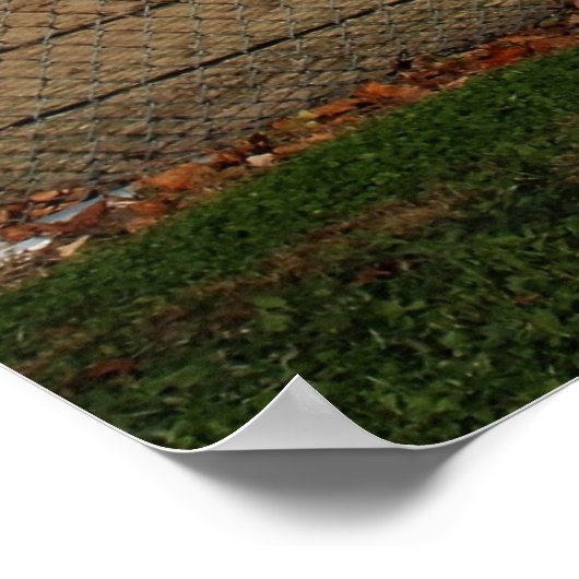 私たちは私たちの高齢者のカラー写真が大好き ポスター (角)