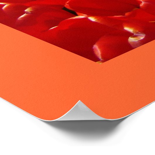 私たちは私たちのCNAのポスターはオレンジのチューリップ花が大好き ポスター (角)