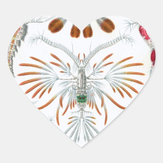 私たちは科学イラストのステッカーが大好き ハートシール (正面)