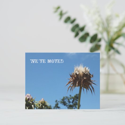 私たちは移動/任意の大事な行事葉書 案内ポストカード (スタンド正面)