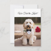 私たちは結び目の婚約発表かわいい犬 出欠カード (正面)