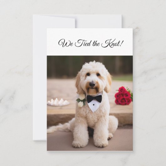 私たちは結び目の婚約発表かわいい犬 出欠カード (正面)