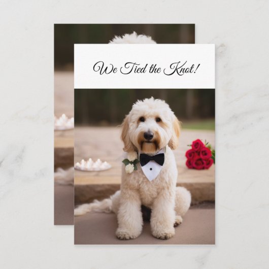 私たちは結び目の婚約発表かわいい犬 出欠カード (正面/裏面)