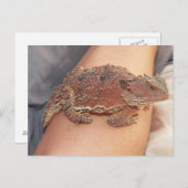 私たちは角のトッドを名付けた：ホディートウィド…キャシー(AH) ポストカード (正面/裏面)