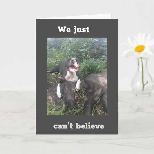 私たちは言いたい**幸せな40歳の誕生日**カード カード (小さな植物)