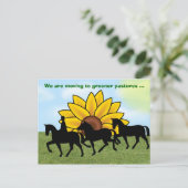 私たちは馬とヒマワリで移動している新しいアドレス 案内ポストカード (スタンド正面)