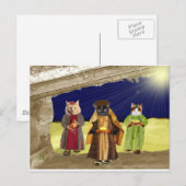 私たちは3匹の猫を飼っている ポストカード (正面/裏面)