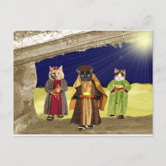 私たちは3匹の猫を飼っている ポストカード (正面)
