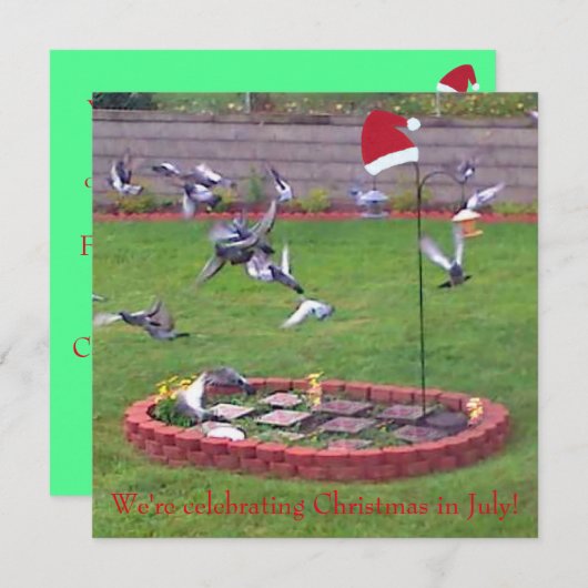 私たちは7月祝のクリスマス、鳥の招待状 (正面/裏面)
