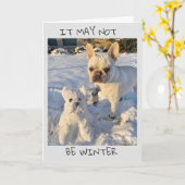 私たちは「あなたのためだけにこれを作った」誕生日! カード (黄色い花)