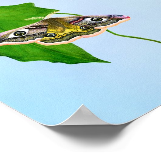 私たちは、彼が最初に私たちを愛したので愛する1ヨハネ4:19 ポスター (角)