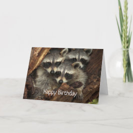 私たちみんなのアライグマからお誕生日おめでとう カード