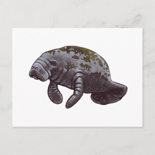 私たちを幸せにする ポストカード (正面)