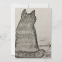 私たちを見守る猫