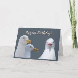 私たちカモメ一同からお誕生日おめでとうのユーモア カード