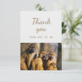 私たちサル動物のおもしろい サンキューカード (スタンド正面)