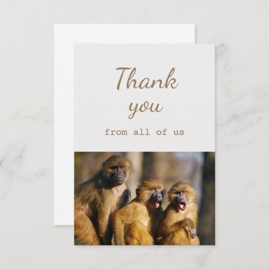 私たちサル動物のおもしろい サンキューカード (正面/裏面)