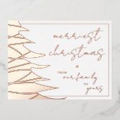 私たちメリーの家族からシックなクリスマス 箔シーズンポストカード (正面)