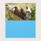 私たちメリークリスマスカードセットから鶏のルースター (内部フラット)