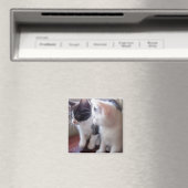 私たち二人だけ磁石 マグネット (インサイチュ (食洗機))