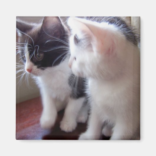 私たち二人だけ磁石 マグネット (正面)