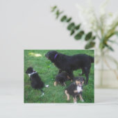 私たち恋しく思は葉書 ポストカード (スタンド正面)