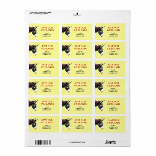 私たち救の山1 – アメリカ南西部バロ ラベル (フルシート)