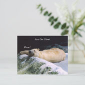 私たち救の惑星シリーズ極熊のポストカード ポストカード (スタンド正面)