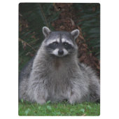 私たち救の森ラクーン野生生物写真 クリップボード (裏面)